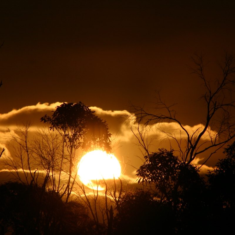 Cloudy dawn - Ghostwriters in the sky